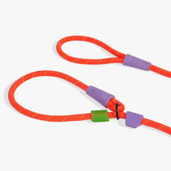 Zeedog Everest Correa Slip-N-Lock