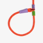 Zeedog Everest Correa Slip-N-Lock