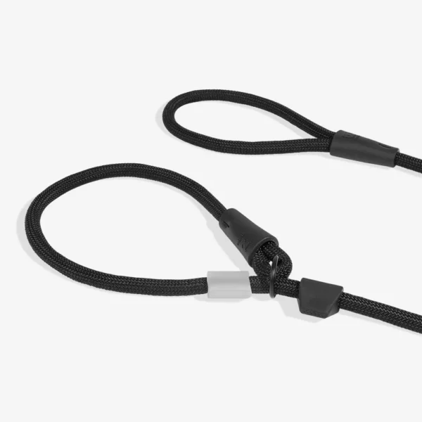 Zeedog Gotham Correa Slip-N-Lock