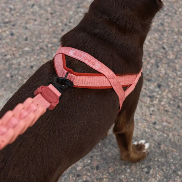 Zeedog Canyon SofterWalk Harness