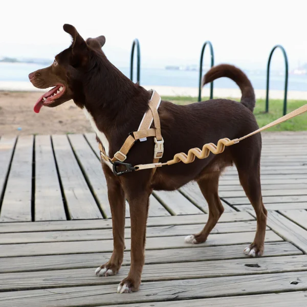 Zeedog Dune SofterWalk Harness