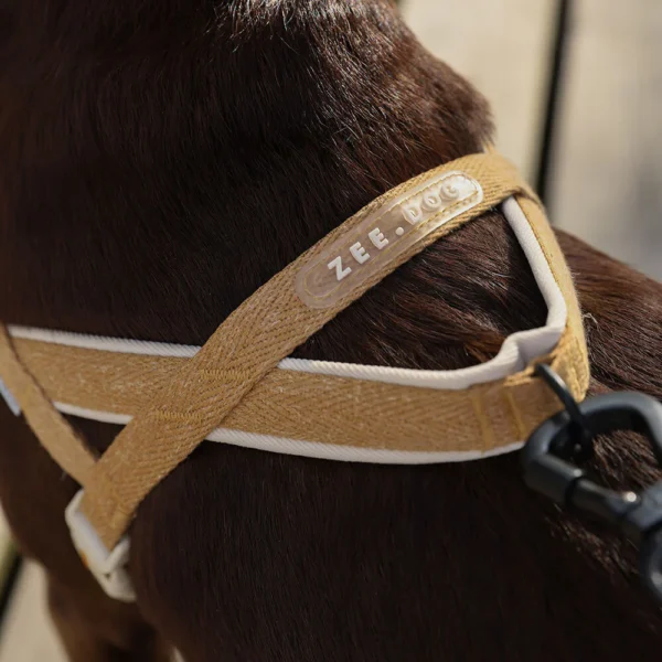 Zeedog Dune SofterWalk Harness
