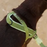 Zeedog Moss SofterWalk Harness