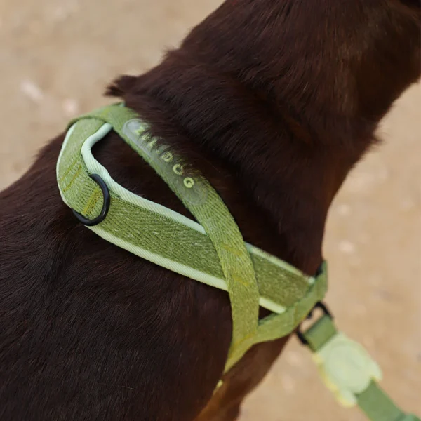 Zeedog Moss SofterWalk Harness