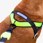 Zeedog NOX SofterWalk Harness