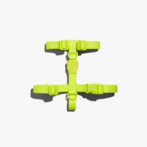 Zeedog Neopro Lime Dog H-Harness