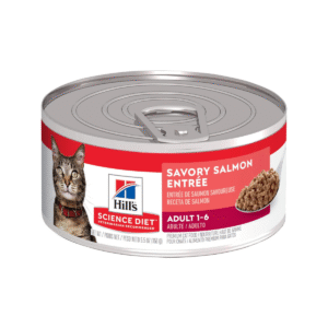 Hills Science Diet Feline Adult Salmón 156g