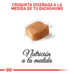 Royal Canin BHN Dachshund Adulto