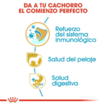 Royal Canin BHN Poodle Cachorro