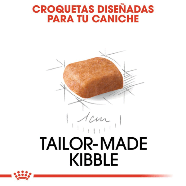 Royal Canin BHN Poodle Cachorro