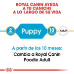 Royal Canin BHN Poodle Cachorro