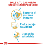 Royal Canin BHN Shih Tzu Cachorro