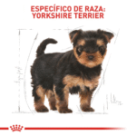 Royal Canin BHN Yorkshire Terrier Cachorro