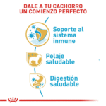 Royal Canin BHN Yorkshire Terrier Cachorro