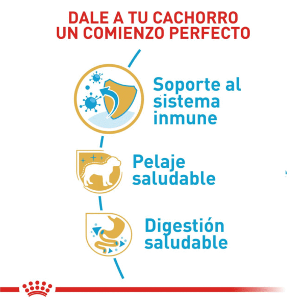 Royal Canin BHN Yorkshire Terrier Cachorro