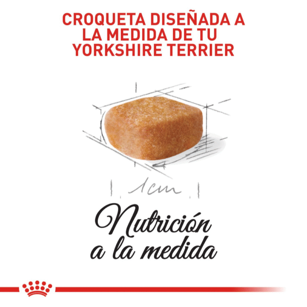 Royal Canin BHN Yorkshire Terrier Cachorro