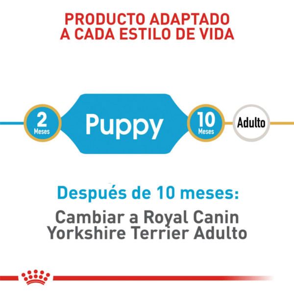 Royal Canin BHN Yorkshire Terrier Cachorro