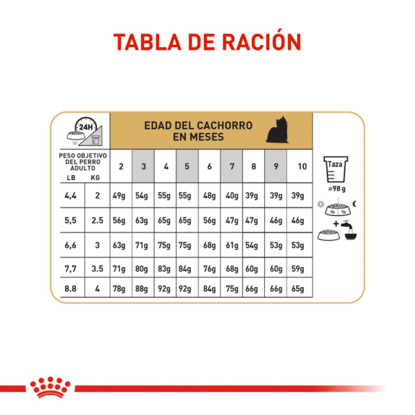 Royal Canin BHN Yorkshire Terrier Cachorro