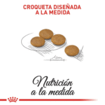 Royal Canin CCN Dermacomfort Mini