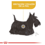 Royal Canin CCN Dermacomfort Mini