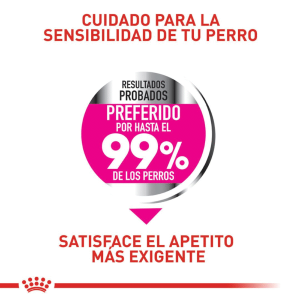 Royal Canin CCN Exigent Mini