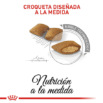 Royal Canin CCN Exigent Mini