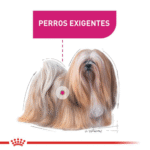 Royal Canin CCN Exigent Mini