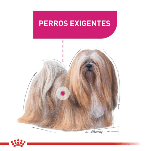 Royal Canin CCN Exigent Mini
