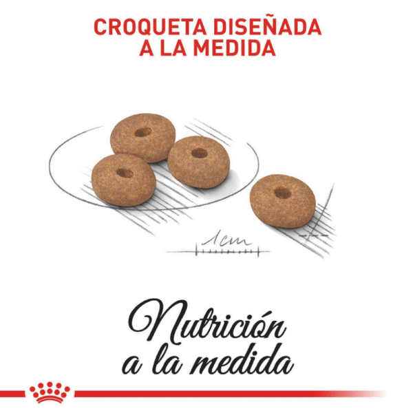 Royal Canin CCN Light Weight Mini