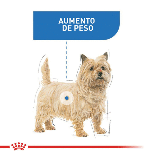 Royal Canin CCN Light Weight Mini