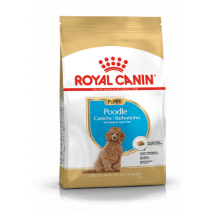 Royal Canin BHN Poodle Cachorro