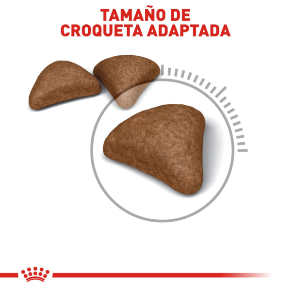 Royal Canin FCN Hairball Care