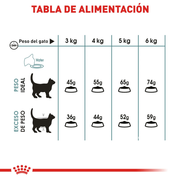 Royal Canin FCN Hairball Care