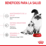 Royal Canin FHN Mother & Babycat