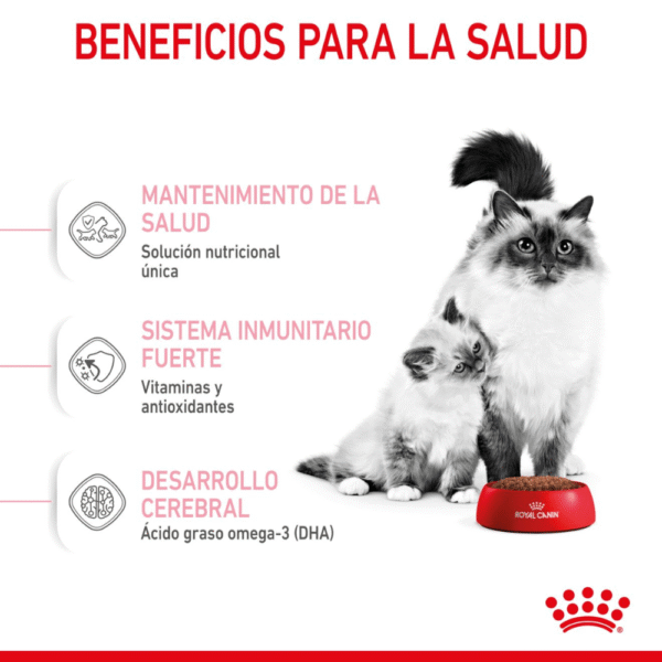 Royal Canin FHN Mother & Babycat