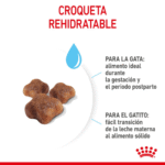 Royal Canin FHN Mother & Babycat