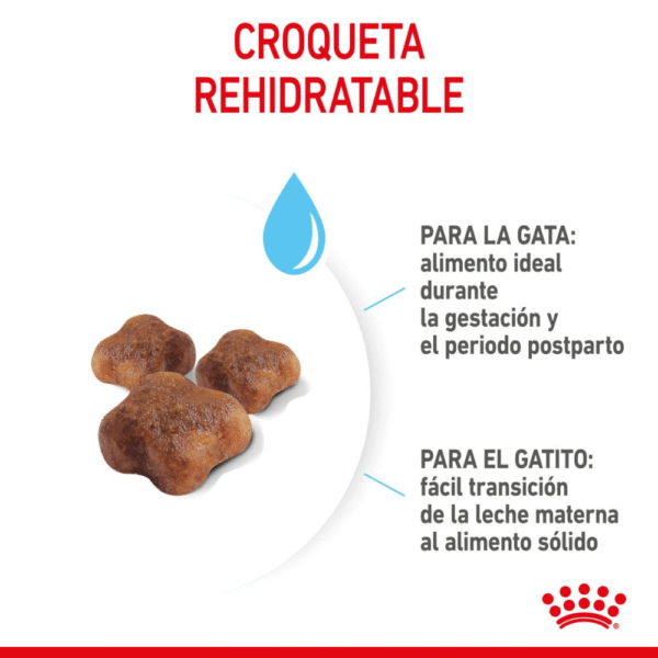 Royal Canin FHN Mother & Babycat