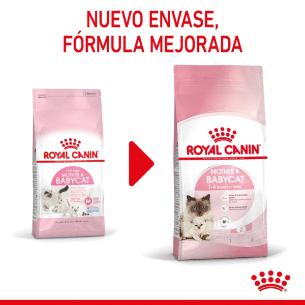 Royal Canin FHN Mother & Babycat