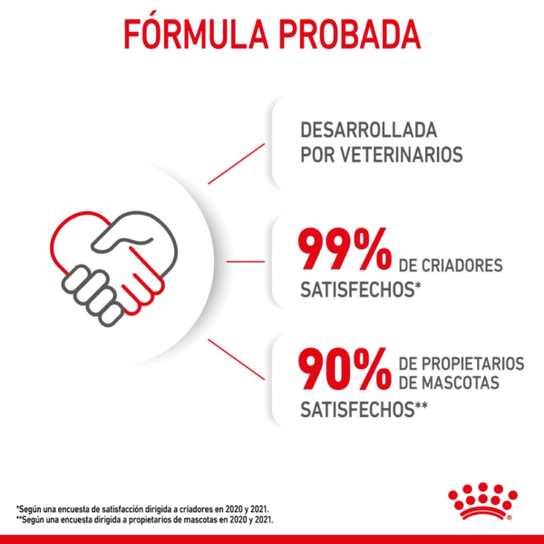 Royal Canin FHN Mother & Babycat