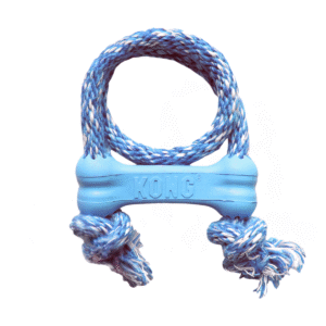KONG Puppy Goodie Bone with Rope