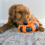 KONG Wrapz Ring