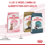 Royal Canin FHN Kitten Sterilised Pack