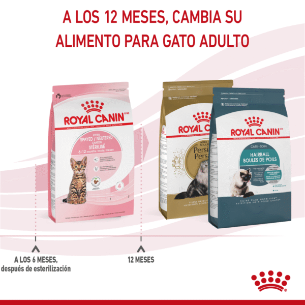 Royal Canin FHN Kitten Sterilised Pack