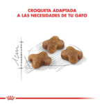 Royal Canin FHN Kitten Pack