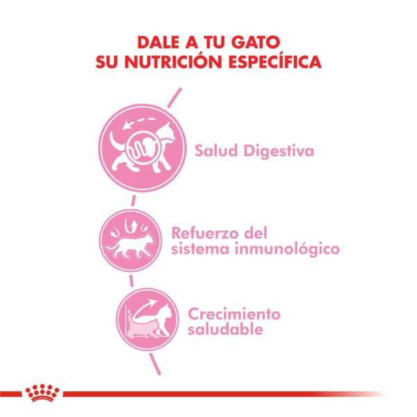 Royal Canin FHN Kitten Pack