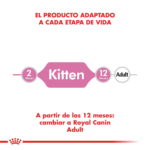 Royal Canin FHN Kitten Pack