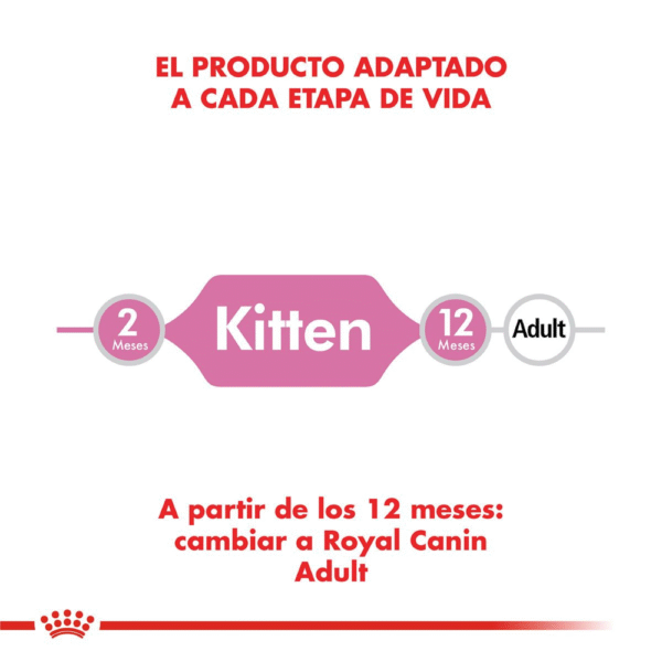 Royal Canin FHN Kitten Pack
