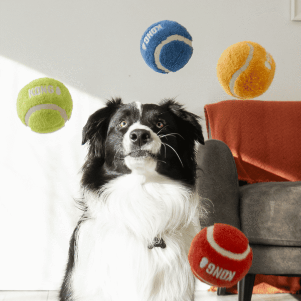 KONG Sport Softies Balls 3-Pack