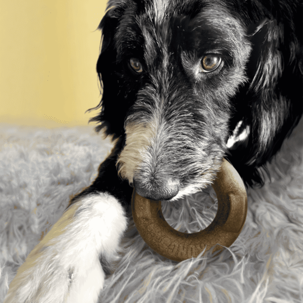 KONG Bamboo Rockerz Ring