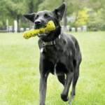 KONG Reflex Stick